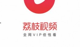 荔枝视频爆料热线,揭秘幕后真相，直击热点事件