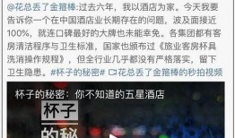 福州酒店爆料视频最新,揭秘酒店内幕，服务质量引关注