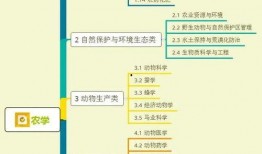 玉米雪糕爆料视频大全集,甜蜜夏日，尽享冰爽美味瞬间